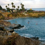 CAF Tri Start - La Jolla Cove